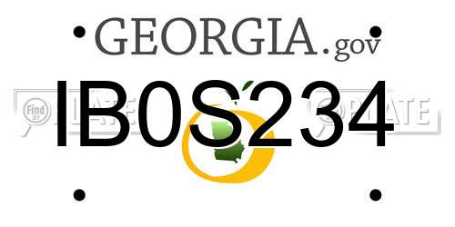 IB0S234 Georgia License Plate