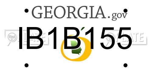 IB1B155 Georgia License Plate