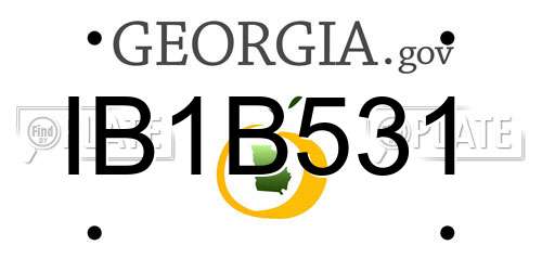 IB1B531 Georgia License Plate