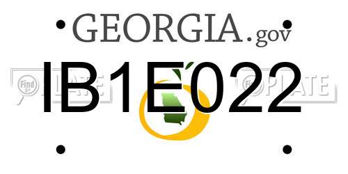 IB1E022 Georgia License Plate