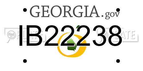 IB22238 Georgia License Plate