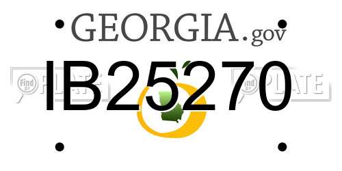 IB25270 Georgia License Plate