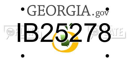 IB25278 Georgia License Plate