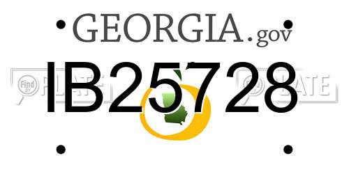 IB25728 Georgia License Plate