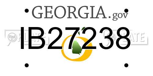 IB27238 Georgia License Plate