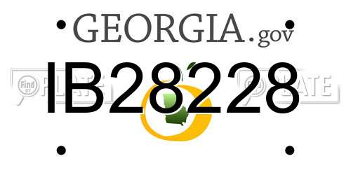 IB28228 Georgia License Plate