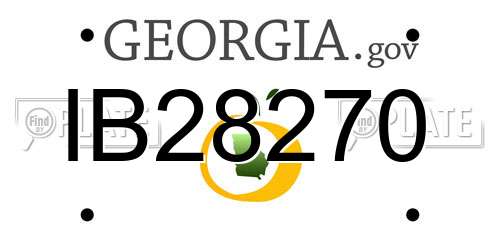 IB28270 Georgia License Plate