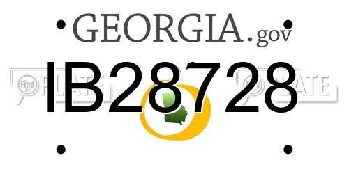 IB28728 Georgia License Plate