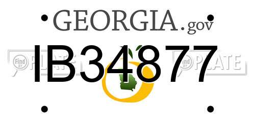 IB34877 Georgia License Plate