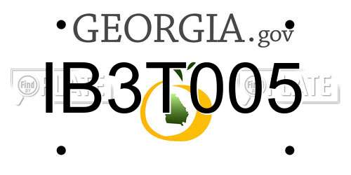 IB3T005 Georgia License Plate
