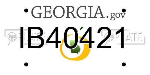 IB40421 Georgia License Plate