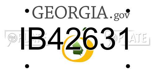 IB42631 Georgia License Plate