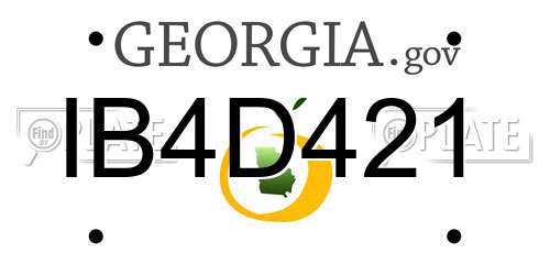 IB4D421 Georgia License Plate