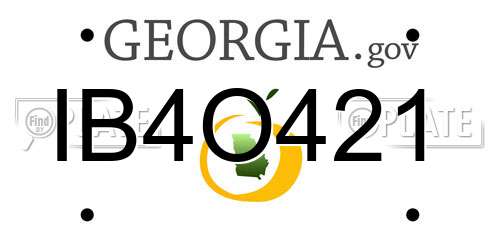 IB4O421 Georgia License Plate