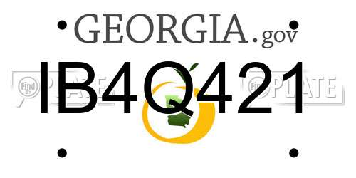 IB4Q421 Georgia License Plate