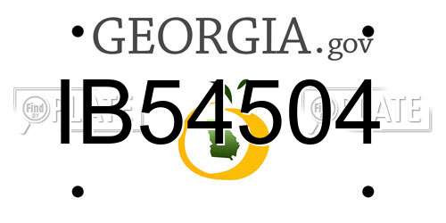 IB54504 Georgia License Plate