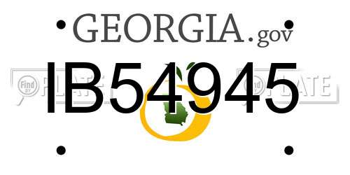 IB54945 Georgia License Plate