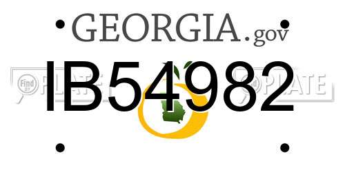 IB54982 Georgia License Plate