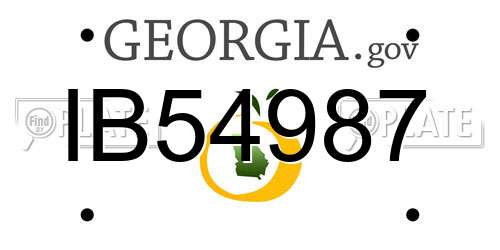 IB54987 Georgia License Plate