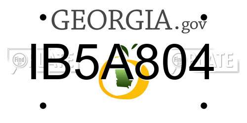 IB5A804 Georgia License Plate