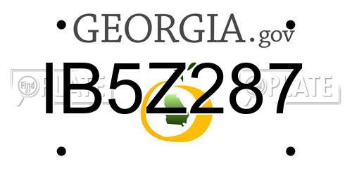 IB5Z287 Georgia License Plate