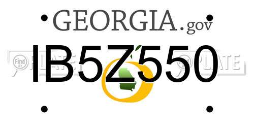 IB5Z550 Georgia License Plate