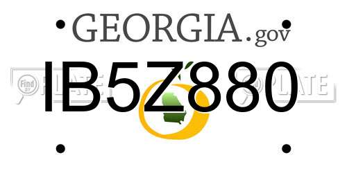 IB5Z880 Georgia License Plate