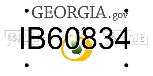 IB60834 Georgia License Plate