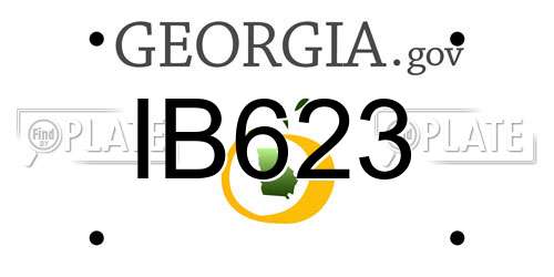IB623 Georgia License Plate
