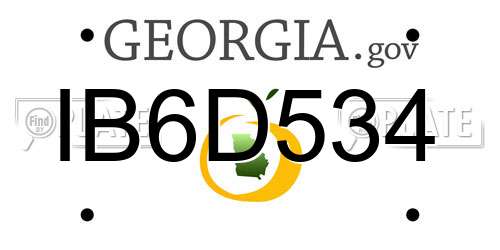 IB6D534 Georgia License Plate