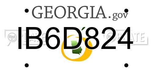 IB6D824 Georgia License Plate