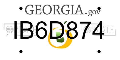 IB6D874 Georgia License Plate