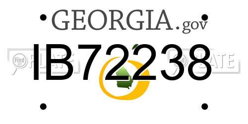 IB72238 Georgia License Plate