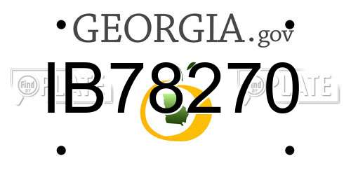 IB78270 Georgia License Plate