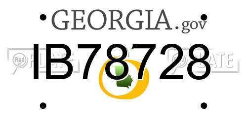 IB78728 Georgia License Plate