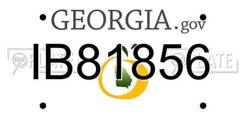 IB81856 Georgia License Plate