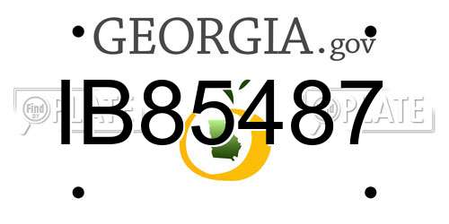 IB85487 Georgia License Plate
