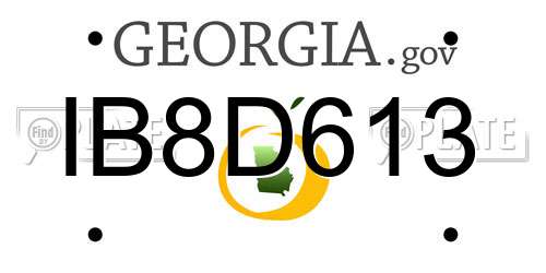 IB8D613 Georgia License Plate