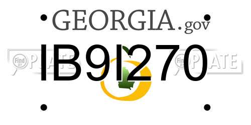 IB9I270 Georgia License Plate