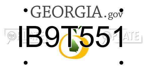 IB9T551 Georgia License Plate
