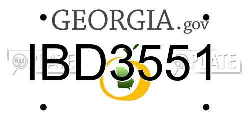 IBD3551 Georgia License Plate