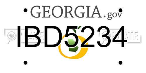 IBD5234 Georgia License Plate