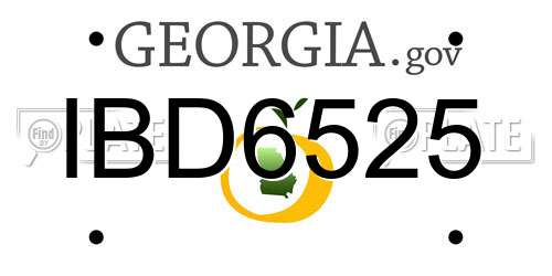 IBD6525 Georgia License Plate