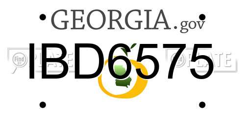 IBD6575 Georgia License Plate