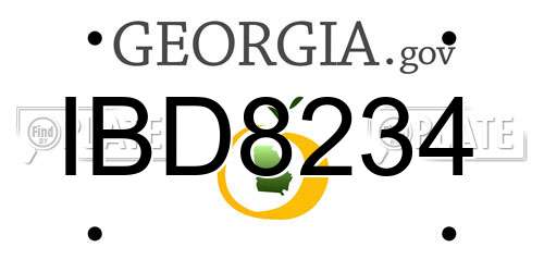 IBD8234 Georgia License Plate
