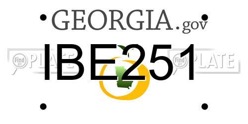 IBE251 Georgia License Plate