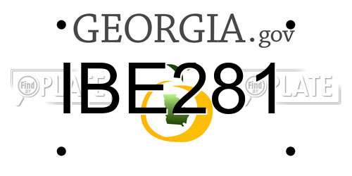 IBE281 Georgia License Plate
