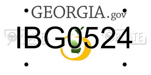 IBG0524 Georgia License Plate