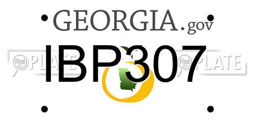 IBP307 Georgia License Plate