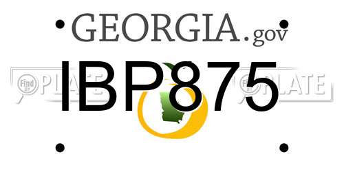 IBP875 Georgia License Plate